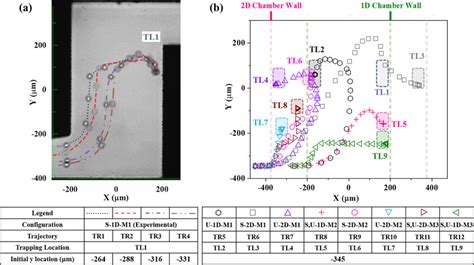 Particle Trajectories And Final Trapping Locations For Different Shaped