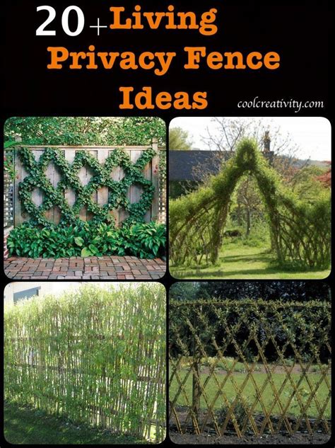 20 Living Privacy Fence Ideas In 2020 Living Privacy Fences Privacy