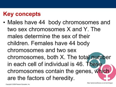 Melc Sex Determination Sex Chromosomes Ppt Explain The Different