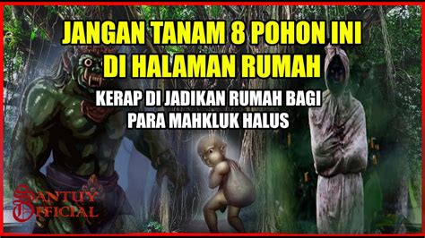 8 POHON FAVORIT SETAN DAN SERING DI JADIKAN TEMPAT TINGGAL YouTube