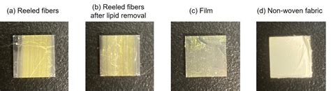 Spider silk properties analyzed for use as bio-based fibers in the medical field