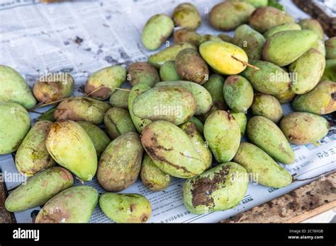 Green Mangoes Lying On A Market Counter Exotic Fruits Of Asia Stock