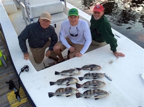 Blackdrumoakislandfishingcharters Oak Island Fishing Reports