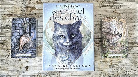 Le Tarot Spirituel Des Chats Leeza Robertson Youtube