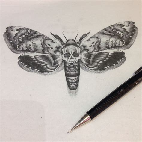 The Best Free Moth Drawing Images Download From 284 Free Drawings Of