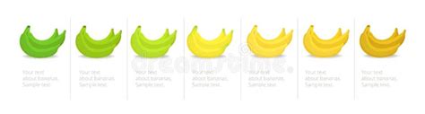 Banana Chart Ripe Stock Illustrations 56 Banana Chart Ripe Stock