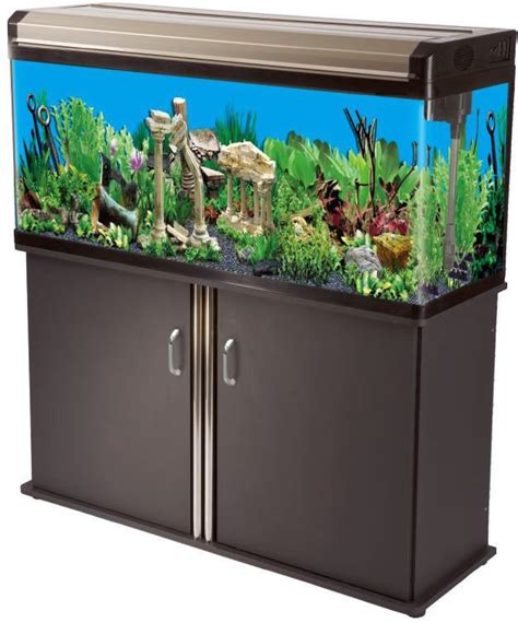 65 Gallon Aquarium Reef Fish Tank