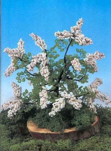 Бонсай из бисера