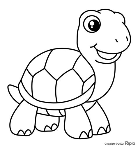 🖍️ Tortue Facile Et Mignonne Coloriages à Imprimer Gratuitement