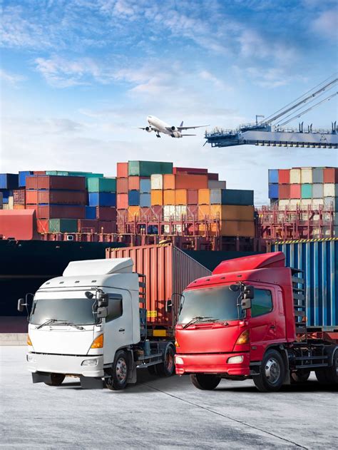 Fast Delivery of Examination Gloves with INTCO's High Delivery Capacity!