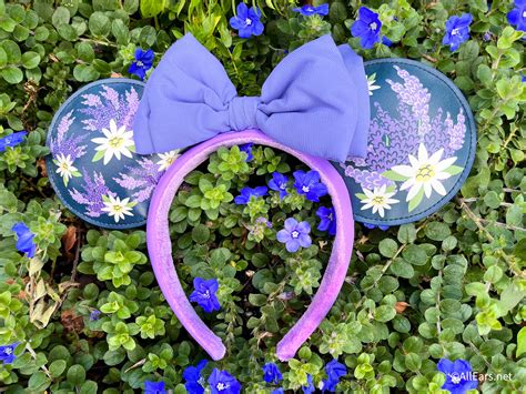 Lavender Ears Have Finally Made Their Way To Disney World Allears Net