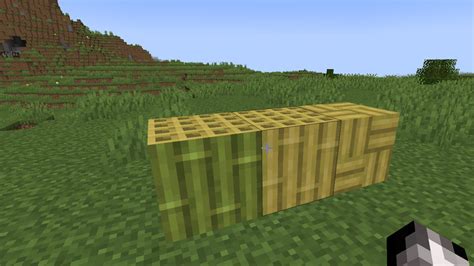 Minecraft 1 20 Das aktuelle Update bringt neue Blöcke für Bau Begeisterte