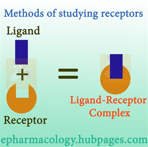 Receptors: Methods of studying receptors, number of receptors per cell ...