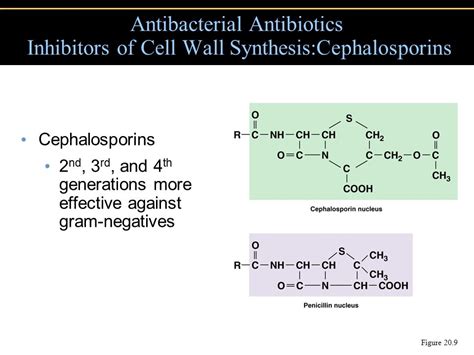 First Generation Cephalosporin Antibiotics