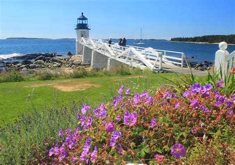 Marshall Point Lighthouse Flowers Photograph By John Burk