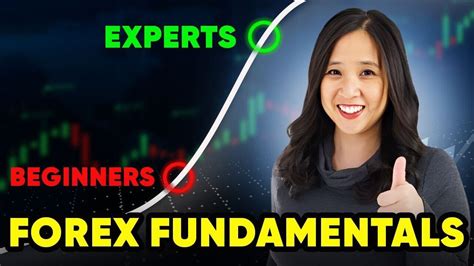 Forex Fundamentals Analysis For Complete Beginners To Level Up YouTube