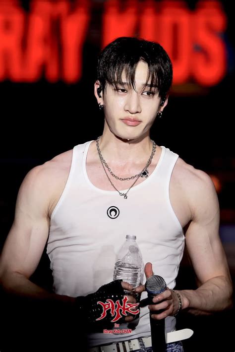 Pin by 𝐣𝐮𝐥y on stray kids in Stray kids chan Hot korean guys Bangchan skz hot