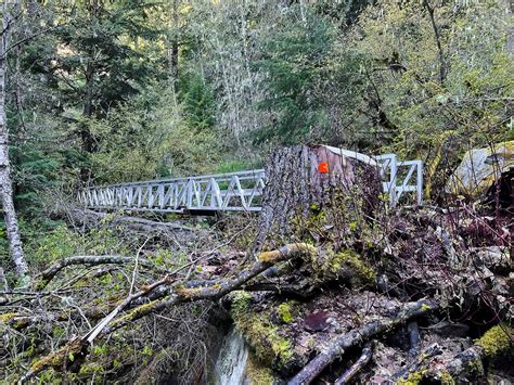 Everything You Need To Know About The Lindeman Lake Hike Oceanus