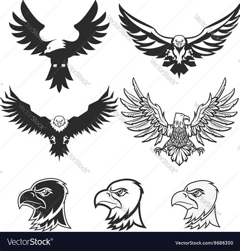 Set Of Eagles Design Elements For Logo Label Vector Image