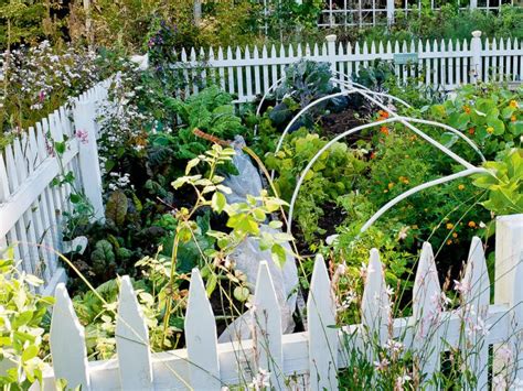 10 Fence Ideas for a Vegetable Garden - Fence Guides