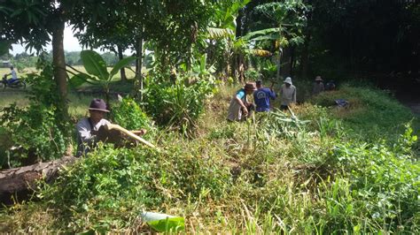 Sambut Musim Tanam Mitra Cai Bareng Petani Bersihkan Irigasi