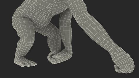 Orangutan Walking Fur 3d Model 129 Max Free3d