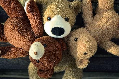 Free picture: teddy bear, toys