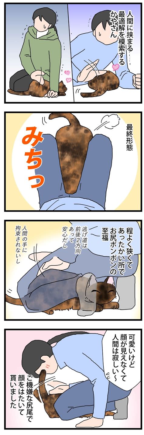 よき挟まり加減④ 保護猫かやさん～凛々しいサビ猫様と私～