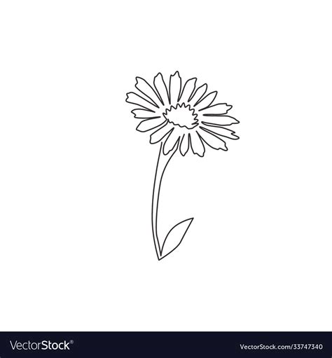 Single Continuous Line Drawing Beauty Fresh Vector Image