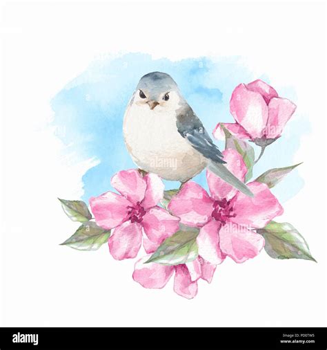 Bird and flowers. Watercolor painting Stock Photo - Alamy