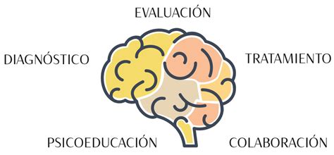 Qué trata la neuropsicología clínica