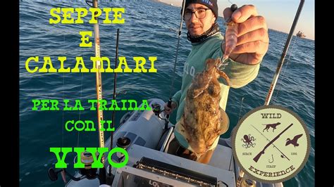 Come Procurarsi Seppie E Calamari Per Traina Con Il Vivo Catch Squid