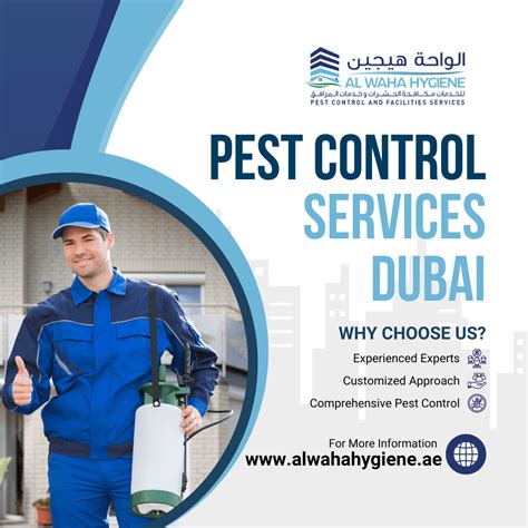 Pest Control In 2024 Process Of Pest Control Services In Dubai