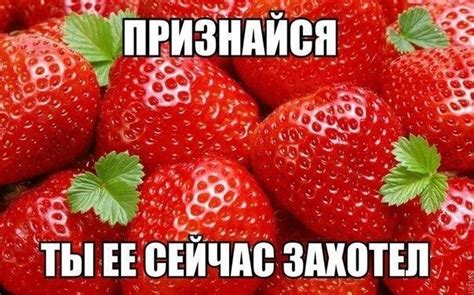 Create meme "ripe strawberries, strawberry vivaldi, strawberry " - Pictures - Meme-arsenal.com