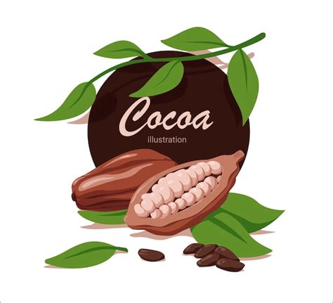 Cacao Fresco Con Hoja En Estilo De Dibujos Animados Vector De Cacao