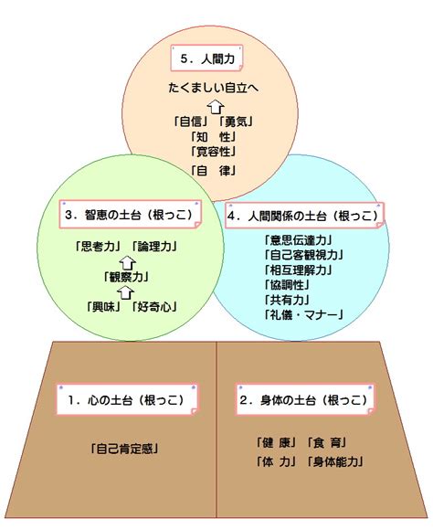 人間の成長過程 Nacssee