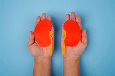 stage  ckd diet      avoid dialysis  diet