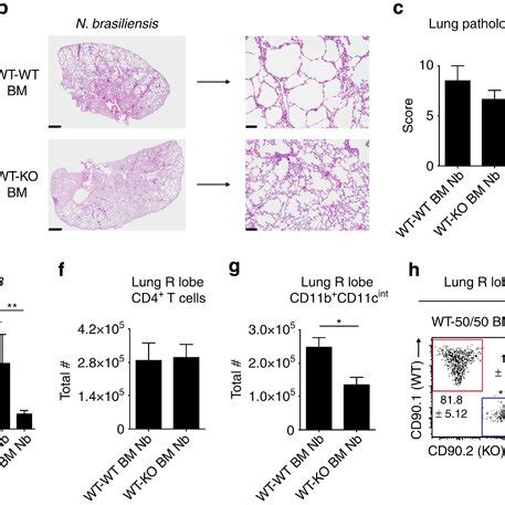 Hematopoietic Expression Of Crth Chemoattractant Receptor Homologous