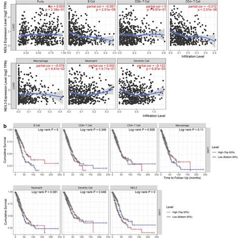 Association With Neil3 Expression And Tumor Infiltrating Immune Cells Download Scientific