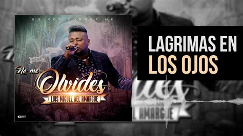 Lagrimas En Mis Ojos Luis Miguel Del Amargue Nuevo Lbum No Me