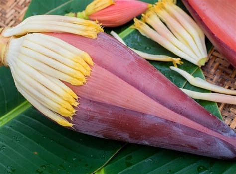 tac dung cua hoa chuoi doi voi suc khoe ma nhieu chua biet