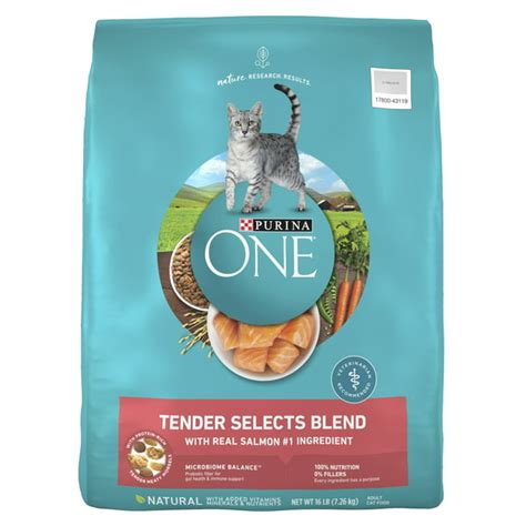 Purina One Tender Select Blend Real Salmon Dry Cat Food 16 Lb Bag