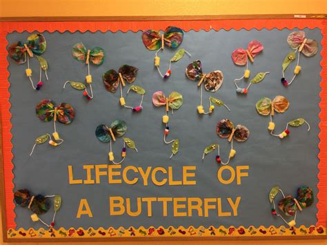 Butterfly Bulletin Board