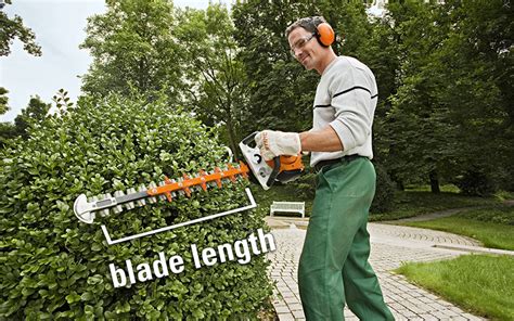 The Complete Hedge Trimmer Buying Guide Stihl Shop