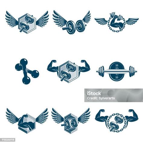 Set Ilustrasi Tema Binaraga Vektor Yang Dibuat Menggunakan Dumbbell
