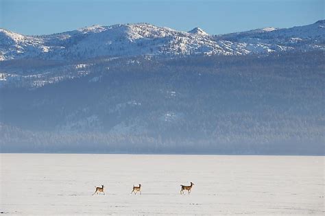 Payette Lake, Idaho - WorldAtlas