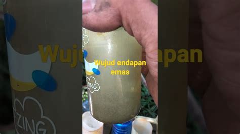 SEPERTI INIKAH WUJUD ENDAPAN EMAS YouTube