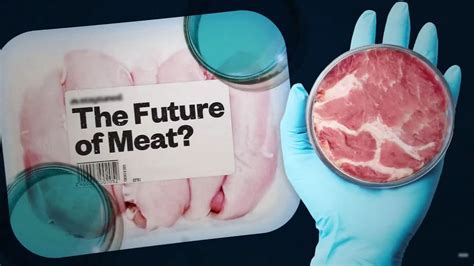 What Is Lab Grown Meat Made Of Process And Differences With Real Meat