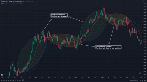 Williams Alligator Indicator Trading Strategy And Tips