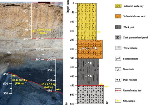 Site Stratigraphy And Sample Location A North Section Of Excavation